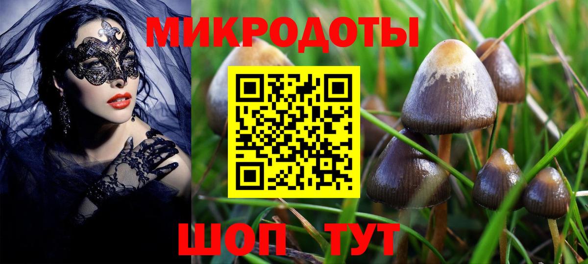 Галлюциногенные грибы MAGIC MUSHROOMS  Вход с VPN  Шатура  Псилоцибиновые грибы Psilocybe 