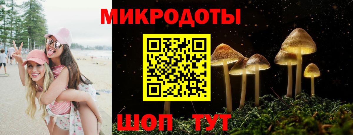 Псилоцибиновые грибы ЛСД Шатура